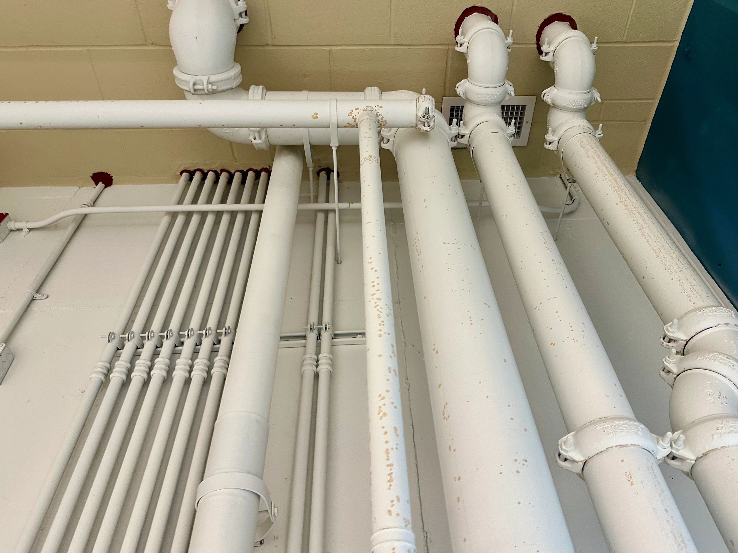 Industrial piping and conduit representing pipe support systems